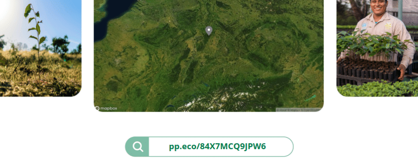 Nachhaltiges Engagement: Unser Beitrag zum CO₂-Ausgleich 1 84X7MCQ9JPW6